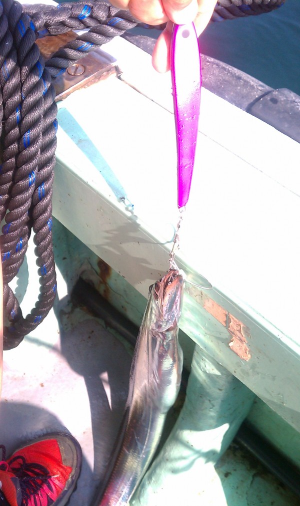 サーベルシーカー