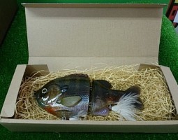 デプス・ブルシューター・ヒュージＨ３Ｓ　シマノ・１３コンプレックス　（茨木店）