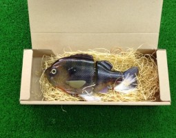 ブルシューター/ホワトパイソン/ハードパンチャー（豊中店）