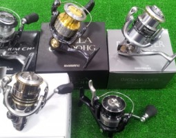 ステラ、エクセンス等入荷！！　四日市店