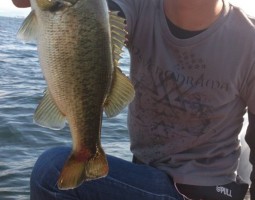 釣果情報~琵琶湖ボート~(豊中店) 釣果情報~琵琶湖ボート~(豊中店)