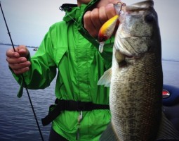 琵琶湖 釣果情報ヽ(*´∀`)ノ バス編 爆釣レベル☆☆ 琵琶湖 釣果情報ヽ(*´∀`)ノ バス編 爆釣レベル☆☆