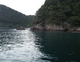 釣果報告 エギング釣行 ~ 京都府 伊根より~ 釣果報告 エギング釣行 ~ 京都府 伊根より~