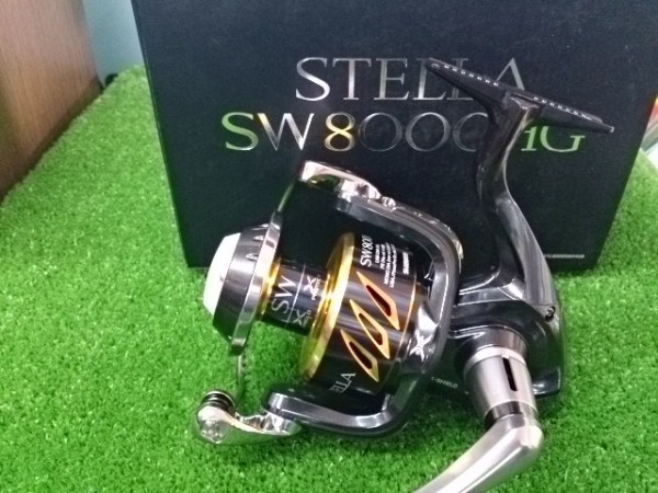 13ステラ8000ＨＧ