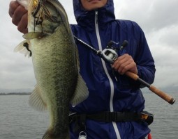 釣果情報~琵琶湖ボート~(豊中店) 釣果情報~琵琶湖ボート~(豊中店)