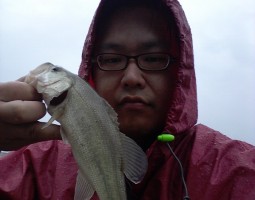 釣果情報~堺の野池めぐり~(豊中店) 釣果情報~堺の野池めぐり~(豊中店)