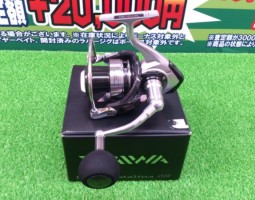 キャタリナ他入荷!! キャタリナ他入荷!!