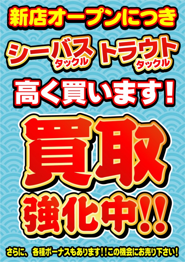 シーバス・トラウト用品強化 (1)