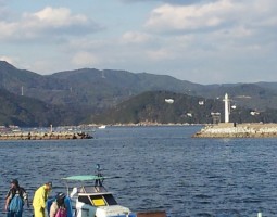 釣果報告　海上釣堀　～三重県　辨屋さんにて～