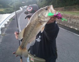釣果情報 淡路島釣行記 バス&アジ (豊中店) 釣果情報 淡路島釣行記 バス&アジ (豊中店)