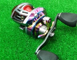 オーロラ入荷! (茨木店) オーロラ入荷! (茨木店)