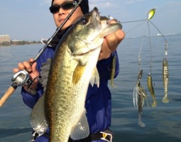 釣果情報~琵琶湖ボート~(豊中店) 釣果情報~琵琶湖ボート~(豊中店)