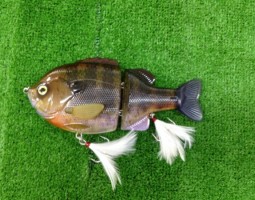 ブルシューター入荷です!!