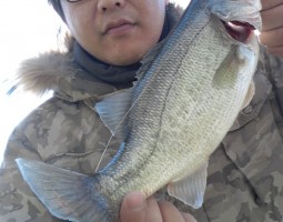 釣果報告・堺野池で再確認”やっぱ冬でした”（豊中店）