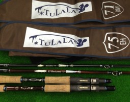 モンストロ７１/エルホリゾンテ７５（豊中店）