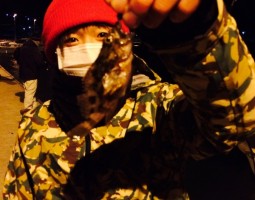 ライトソルト調査！