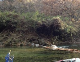 トラウト釣りに行ってきました(大東店) トラウト釣りに行ってきました(大東店)