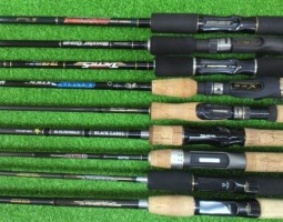 アンタレス！など沢山入荷！（栗東店）