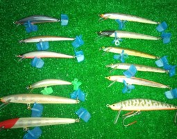 ツインクル バルサ50 ブラウニー(大東店) ツインクル バルサ50 ブラウニー(大東店)