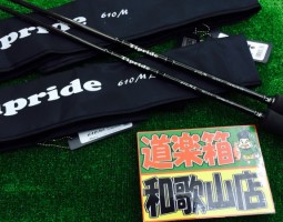 tipride　2本入荷！！