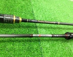 月下美人、ソルティーセンセーション入荷しました!! 月下美人、ソルティーセンセーション入荷しました!!