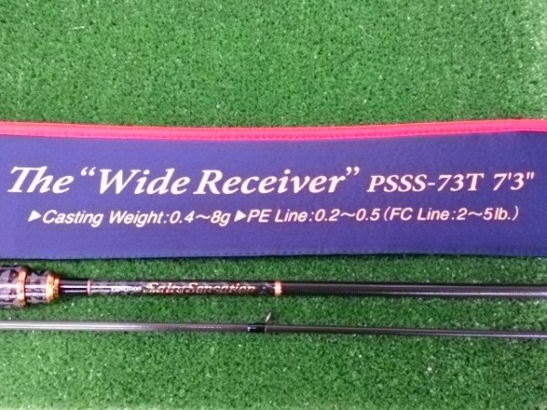 ワイドレシーバー