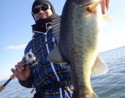 釣果情報～琵琶湖ボート～（豊中店）