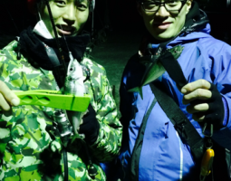 和歌山 釣果情報ヽ(*´∀`)ノ ソルト編 爆釣レベル★★★★★ 和歌山 釣果情報ヽ(*´∀`)ノ ソルト編 爆釣レベル★★★★★