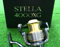 ステラ入荷!! 山科店 ステラ入荷!! 山科店