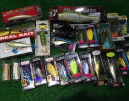 Dual2 Deal2、CV-Z203L、ビッグロイド等 (幕張店) Dual2 Deal2、CV-Z203L、ビッグロイド等 (幕張店)