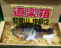 ブルシューター入荷！(塩屋店)