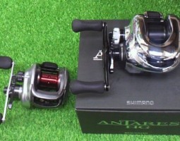 アンタレスＨＧ　他入荷！（栗東店）