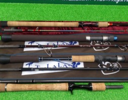 ツララ・ワールドシャウラ　他多数入荷！　（栗東店）