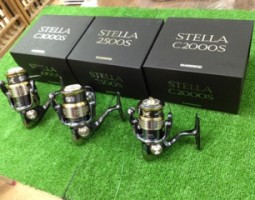 10 ステラC2000S、C3000S、2500S入荷です!! 10 ステラC2000S、C3000S、2500S入荷です!!