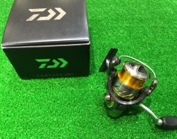 13 セルテート2004 入荷(幕張店) 13 セルテート2004 入荷(幕張店)