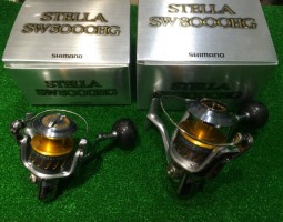 08 ステラSW　5000HG・8000HG　入荷（幕張店）