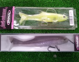 限定品デビルスイマー入荷!! 四日市店 限定品デビルスイマー入荷!! 四日市店