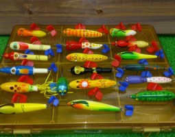 ハトリーズなど入荷! ハトリーズなど入荷!