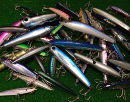 カーペンター、マングローブスタジオなどウッドプラグ大量！（幕張店）