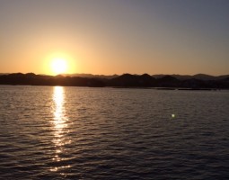 エギング釣果情報in和歌山（大東店）