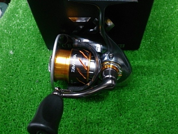 １３セルテート2004ＣＨ