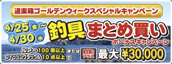 140425_web_topbannner_3bonus_02