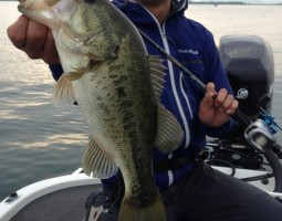 釣果情報~琵琶湖ボート~(豊中店) 釣果情報~琵琶湖ボート~(豊中店)