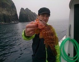 釣果情報 日本海 舞鶴より ジギング? 釣果情報 日本海 舞鶴より ジギング?