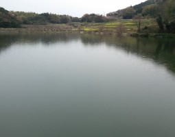 釣果情報 春バスを求めて・・・ (豊中店) 釣果情報 春バスを求めて・・・ (豊中店)