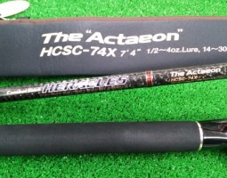 アクテオン　フォースグランディス　カワスペ　タトゥーラ　ルアー　（茨木店）