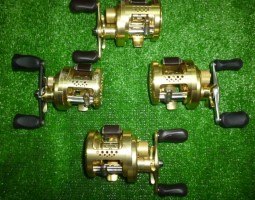 カルカッタコンクエスト、モアザンブランジーノ入荷！（大東店）