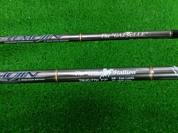 ガゼル・ワイスタ