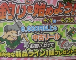 ビビットクルーズ入荷！　（幕張店）
