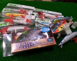 Gクラック　ストライガ　限定カラー＆ルアー各種入荷です。（幕張店）